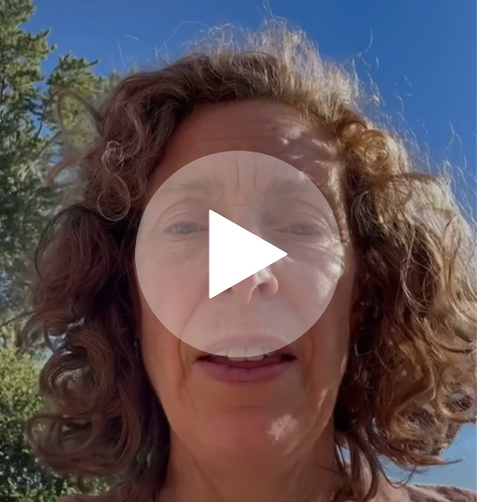 Stink Stake Video 003